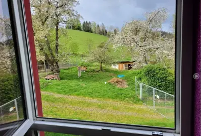 Mithilfe auf privatem Gnadenhof in Oberfranken – Bild 3