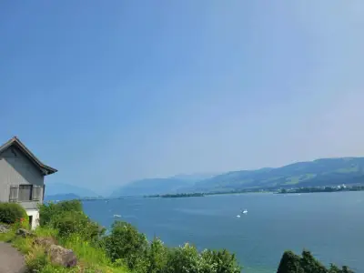 Beautiful lake house stay in Switzerland - We are looking for an experienced catsitter and allrounder help – Bild 7