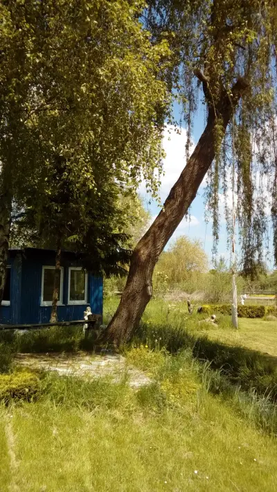 Auszeit im Grünen mit eigenem Bungalow  – Bild 5