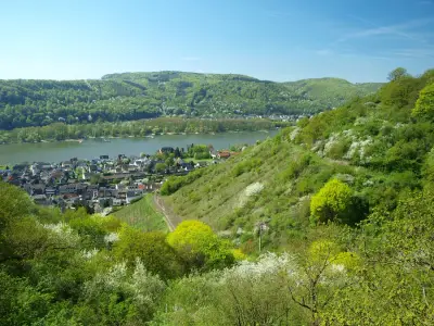 Schöner Wohnmobil-Stellplatz in einem Wildgehege oberhalb des Rheintals