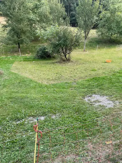 Früheres Bauernhof mit großem Grundstück  – Bild 7