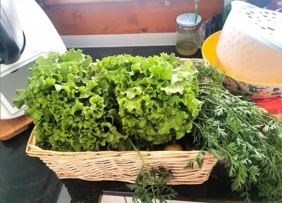 Housesitting für Ihr Zuhause, während Sie auf Reisen sind – photo 7