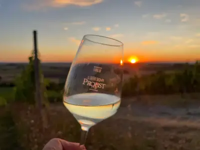 Helfende Hände für unsere PROBST-Weinlese ab September gesucht – Bild 6