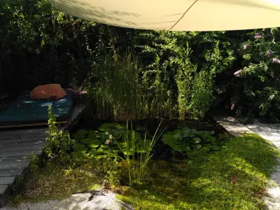 Unterstützung und Urlaub - Zülpicher Börde und Holland – Bild 4