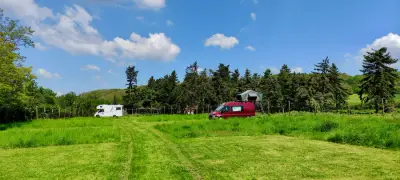 Schöner Wohnmobil-Stellplatz in einem Wildgehege oberhalb des Rheintals – Bild 3