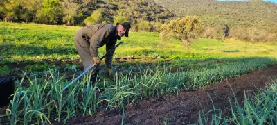 Finca Aufenthalt in Andalusien – Bild 9