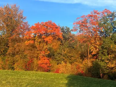 Kleiner Hof mit Tieren an schönem Wald und See