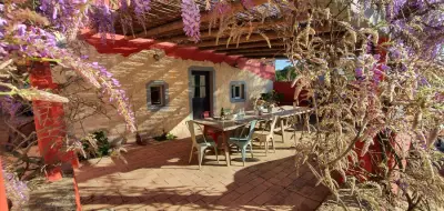 Experienced Roofer Wanted – 20m2 Roof Removal in the Algarve (Faro) – Bild 3