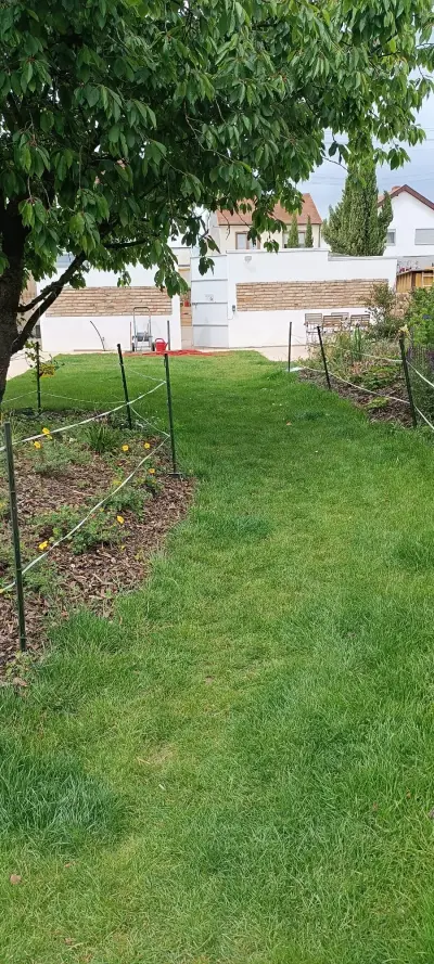 Light Gardening and dog Walks  – Bild 3