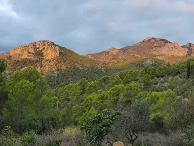 Finca in den Bergen der Costa Blanca – Bild 9
