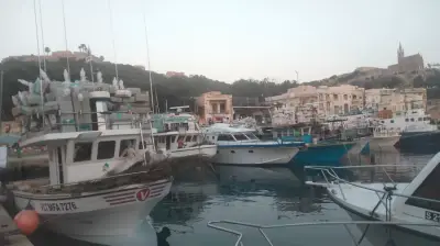 Pferdefarm auf der Sonneninsel Gozo ( Malta ) – photo 9