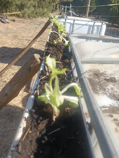 Pferdefarm – Bild 12