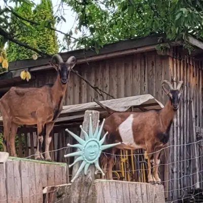 Tierparadies im Werratal – Bild 2
