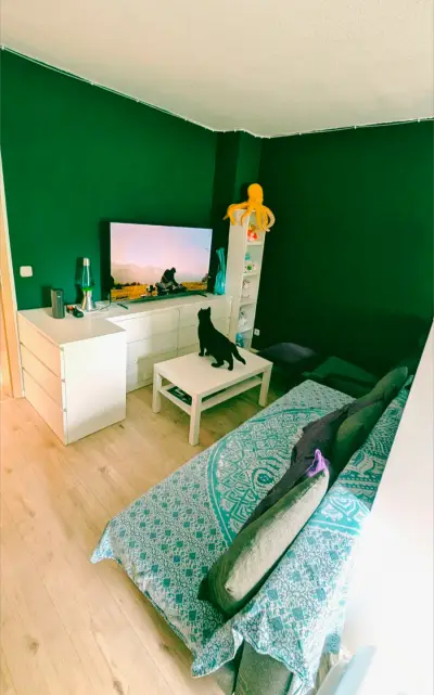 Haus-/Katzensitter für Wohnung im Grünen gesucht – Bild 2