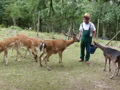 Schöner Wohnmobil-Stellplatz in einem Wildgehege oberhalb des Rheintals – Bild 5