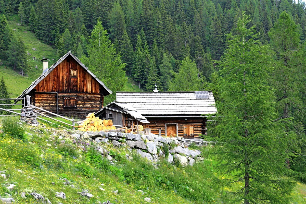 Sommer auf der Alm: Freiwillig in den Bergen mithelfen